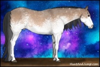 Horse Color:White Spotted Brown Dun 