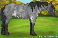 Horse Color:White Spotted Blue Roan Rabicano Brindle