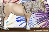 Horse Color:Chocolate Palomino Pearl 