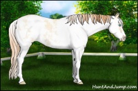 Horse Color:Buckskin Pearl Dun Sabino 
