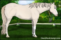 Horse Color:Perlino 
