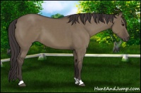 Horse Color:Smoky Grullo 