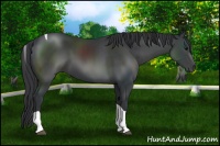 Horse Color:Black Sabino Tobiano 