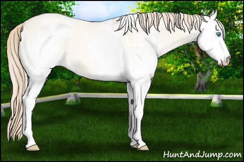 Horse Color: White Spotted Perlino Dun 