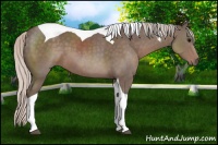 Horse Color:Silver Black Tobiano 