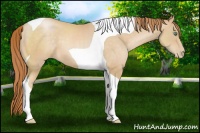 Horse Color:Smoky Black Pearl Tobiano 