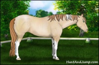 Horse Color:Smoky Black Pearl Sabino Tobiano 