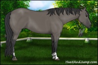 Horse Color:Grullo Sabino 