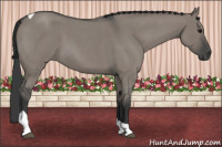 Horse Color:Grullo Roan Tobiano