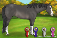 Horse Color:Black Splash