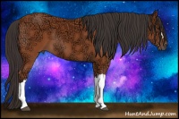 Horse Color:Bay Ice 
