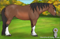 Horse Color:Bay Mushroom 