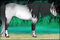 Horse Color:Brown Chinchilla Splash