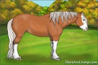 Horse Color:Silver Bay Splash 