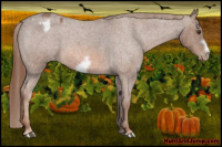 Horse Color:Red Roan Frame Varnish 
