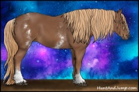 Horse Color:White Spotted Chestnut Sabino 