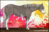 Horse Color:Silver Black Sabino 