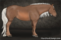 Horse Color:Liver Chestnut Mushroom 