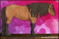Horse Color:Bay  Brindle