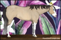 Horse Color:Buckskin Roan Dun Splash 