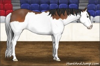 Horse Color:Brown Splash 