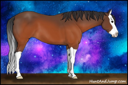 Horse Color: Brown Splash 