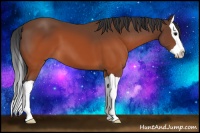 Horse Color:Brown Splash