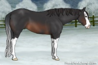 Horse Color:Brown Splash 