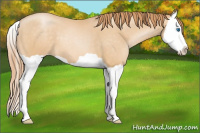 Horse Color:Smoky Black Pearl Splash 