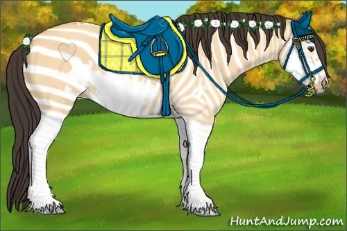 Horse Color:Buckskin Roan Dun Splash Frame