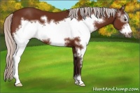 Horse Color:White Spotted Silver Brown Frame 