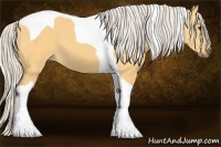 Horse Color:Silver Buckskin Dun Tobiano 