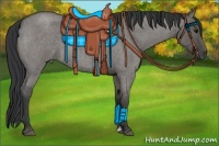 Horse Color:Grullo Roan Sabino 