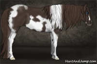 Horse Color:Liver Chestnut Tobiano Frame 