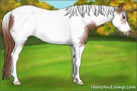 Horse Color:Chestnut Tobiano Frame 