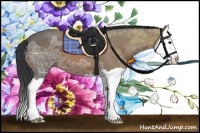 Horse Color:Bay Ice Splash 