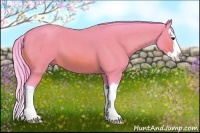Horse Color:Watercolor Bay Roan Splash