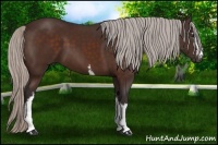 Horse Color:White Spotted Silver Brown 
