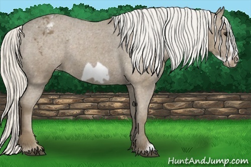 Horse Color: Silver Smoky Black Frame Blanket 