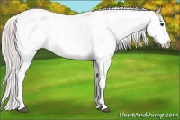 Horse Color:White Spotted Silver Brown Dun Splash 