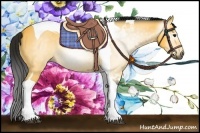 Horse Color:Gray Buckskin Tobiano 