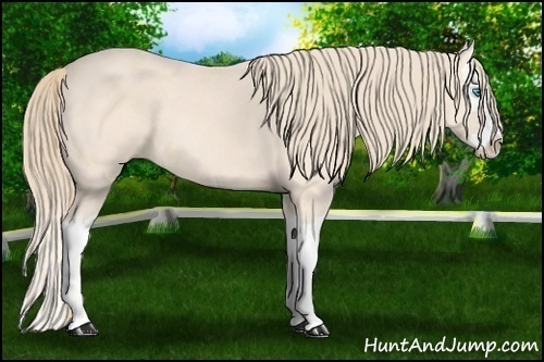 Horse Color: Perlino Splash 