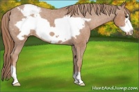 Horse Color:Chestnut Frame Snowcap 