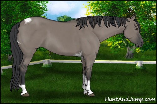 Horse Color: Grullo Tobiano 