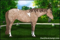 Horse Color:Black Ice Pearl Tobiano 