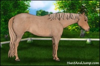 Horse Color:Red Roan 
