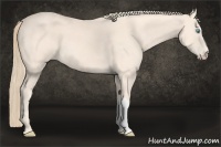 Horse Color:Perlino 