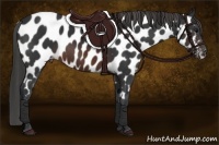 Horse Color:Brown Appaloosa