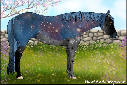 Horse Color: ERROR: UNKNOWN ANOMALY