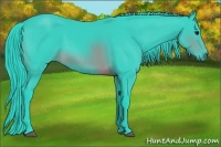 Horse Color:Watercolor Brown 